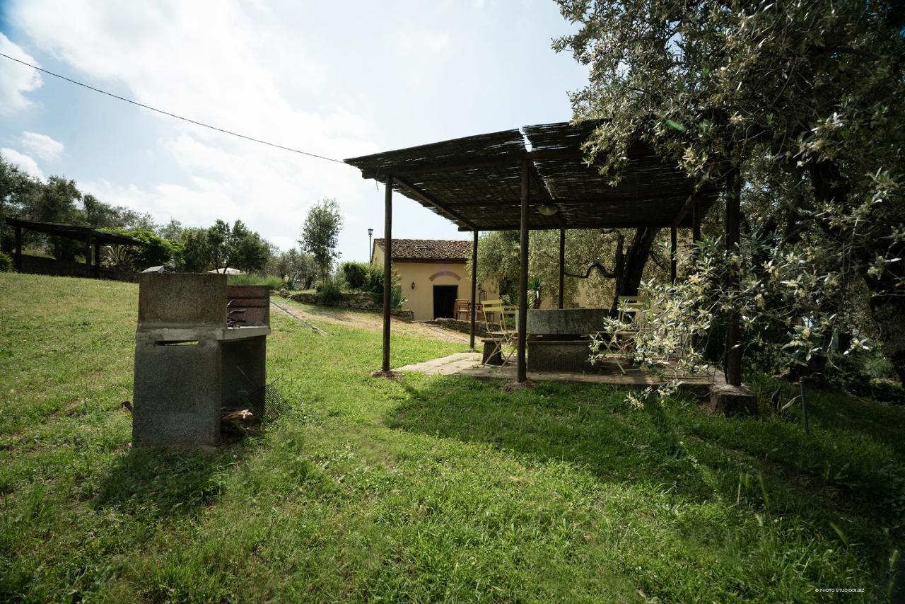 Agriturismo La Gioconda Vinci Dış mekan fotoğraf