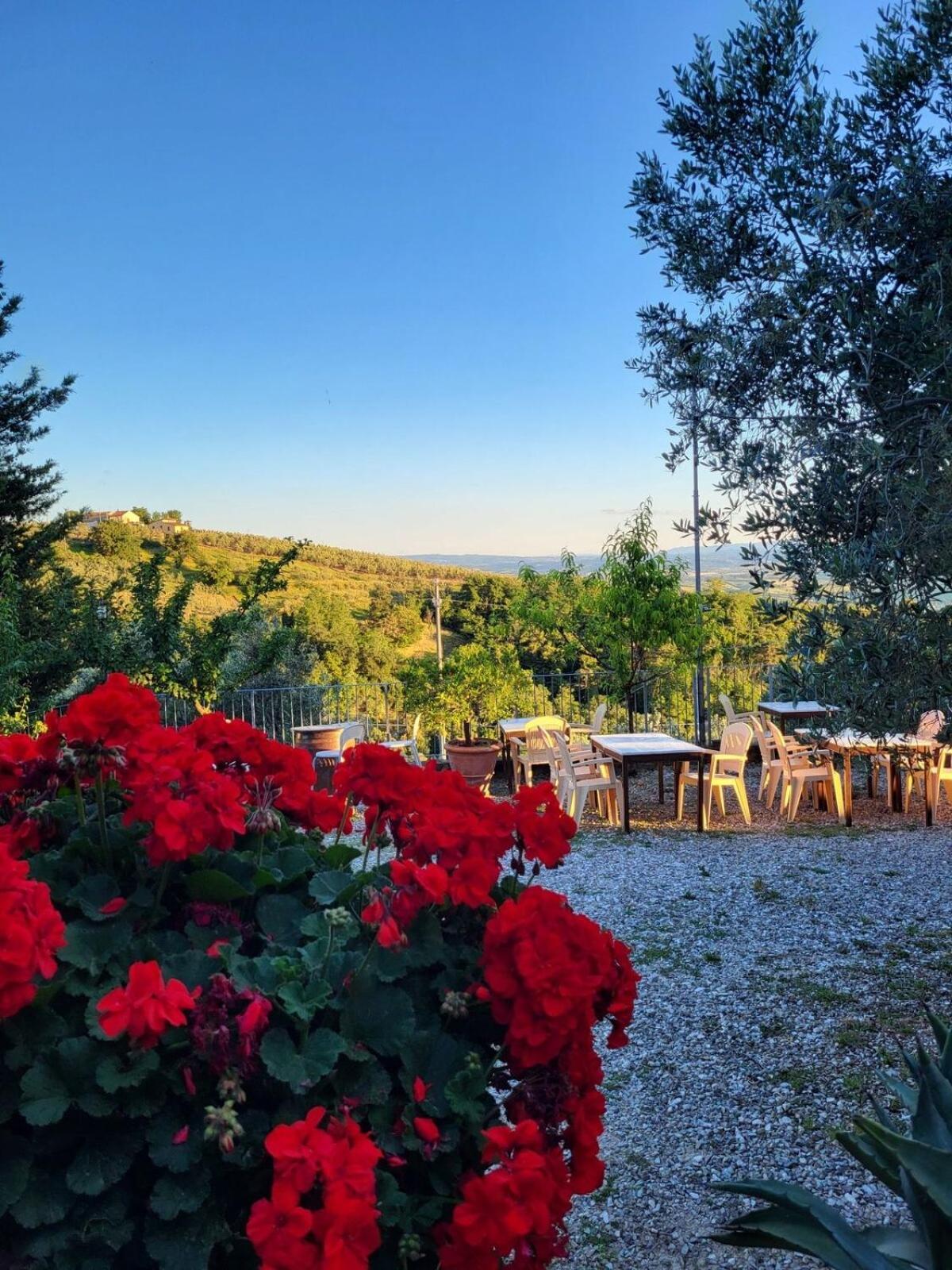 Agriturismo La Gioconda Vinci Dış mekan fotoğraf