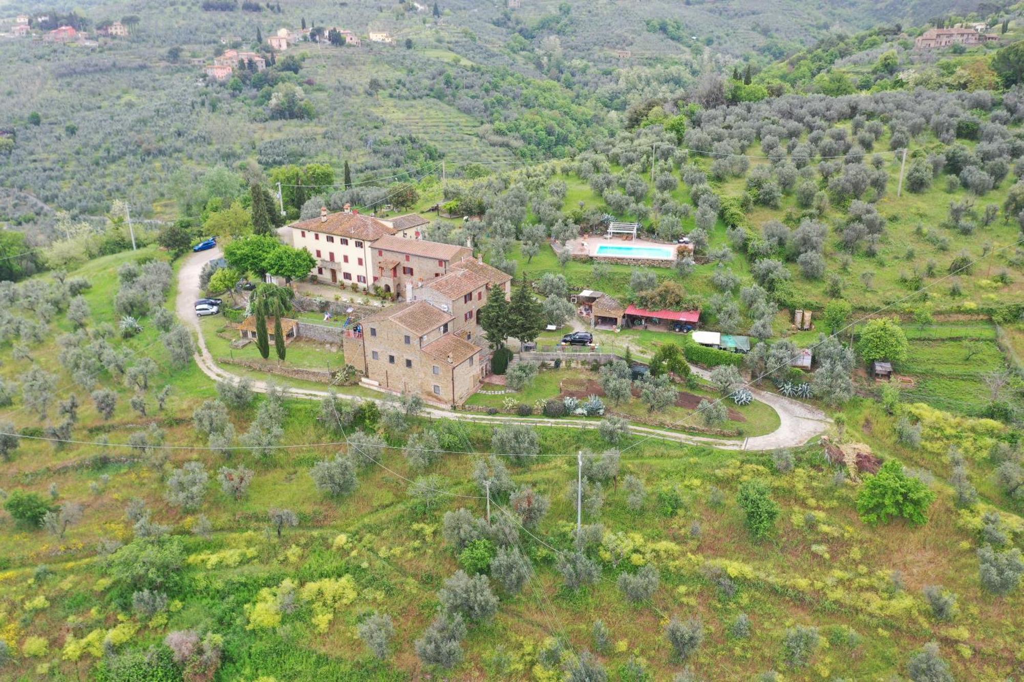 Agriturismo La Gioconda Vinci Dış mekan fotoğraf